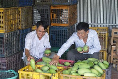 Cơ cấu lại lĩnh vực chế biến nông sản