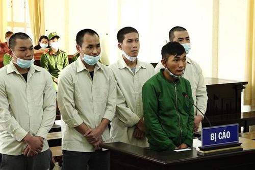 Nhóm trộm 200 chậu lan đột biến lãnh án