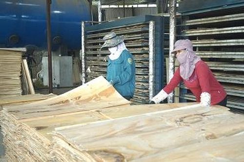 Kỳ II: Giải pháp đồng bộ để phát triển bền vững