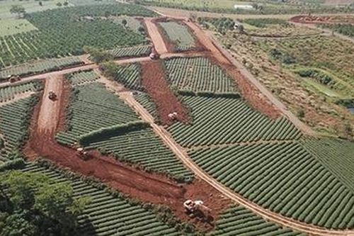 Làm rõ những dự án bất động sản trái pháp luật tại Lâm Đồng