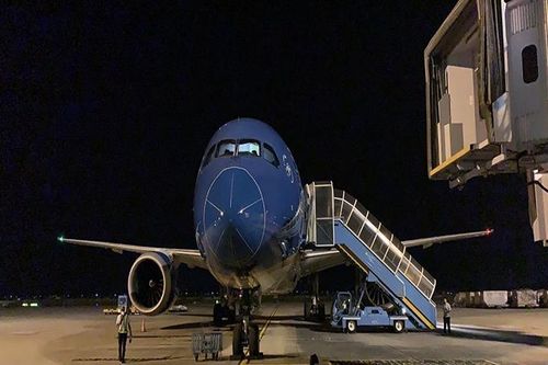 Vải thiều Bắc Giang đi 'siêu tàu bay' của Vietnam Airlines sang Nhật