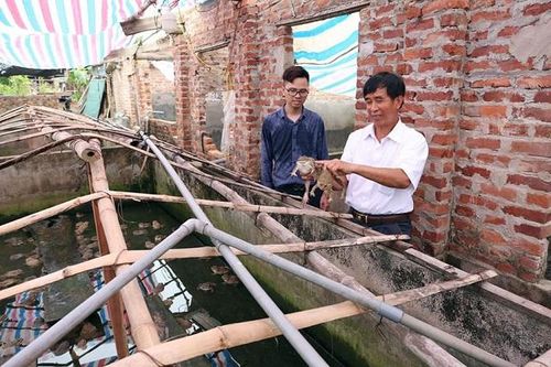 Lan tỏa các mô hình kinh tế hiệu quả