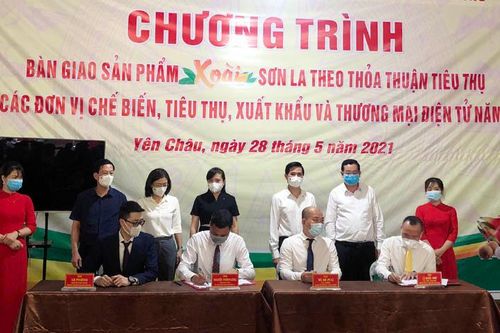 Sản phẩm xoài, nhãn Sơn La chính thức lên sàn thương mại điện tử