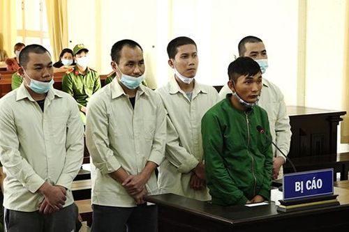Nhóm 'lan tặc' lãnh án nặng