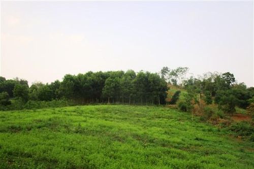 Thanh Hóa: Dự án nhà máy điện Mặt trời nghìn tỷ… 'đắp chiếu'