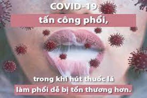 WHO: Người hút thuốc lá có nguy cơ mắc Covid-19 cao hơn