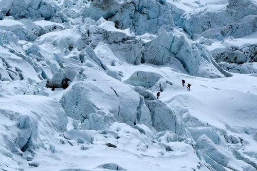 Cựu giáo viên lập kỷ lục người phụ nữ leo lên đỉnh Everest nhanh nhất thế giới