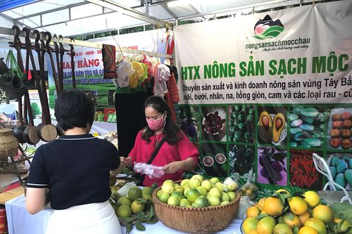 Hà Nội đẩy mạnh kết nối nông sản các địa phương vào kênh phân phối