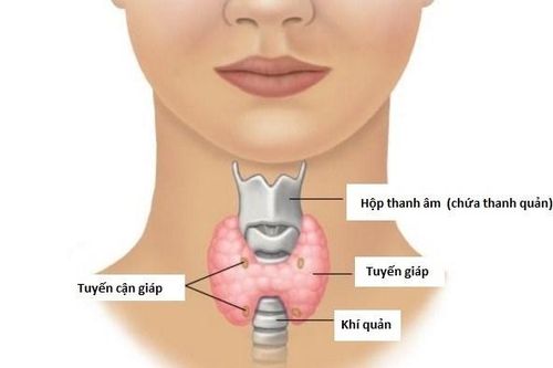 Những điều cần biết về ung thư tuyến giáp