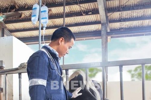 Cô Gái Hà Lan áp dụng thành công 20 phút 'vàng' vào quy trình sản xuất
