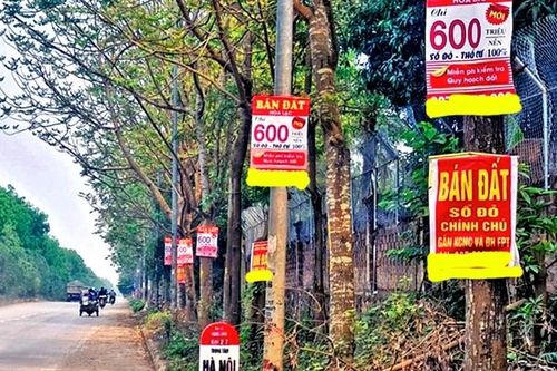 Chặn 'sốt' giá đất: Tiếp thu kinh nghiệm quốc tế sửa Luật Đất đai