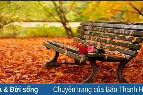 THÌ THẦM CÂY