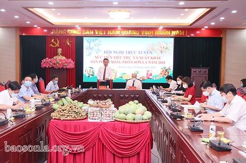 Hội nghị trực tuyến xúc tiến tiêu thụ và xuất khẩu sản phẩm xoài, nhãn Sơn La năm 2021