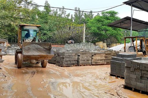 Thích ứng với trạng thái 'bình thường mới'