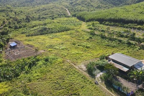Quảng Bình: Nguồn lực yếu khiến dự án trang trại nuôi bò 245ha triển khai ì ạch