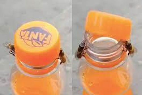 Clip cặp ong hiệp lực mở nắp chai nước ngọt gây bão mạng