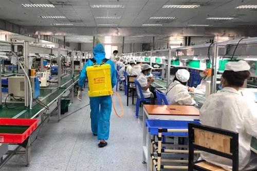 Bắc Giang: 9 doanh nghiệp với hơn 4.000 lao động được hoạt động trở lại