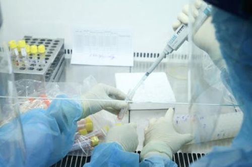 Xuất hiện đột biến gene trên mẫu bệnh phẩm Covid-19