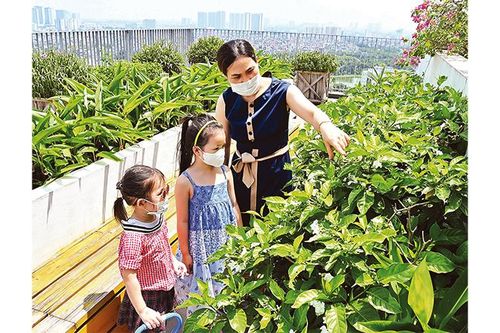 Giữ an toàn cho trẻ trong mùa hè 'đặc biệt'