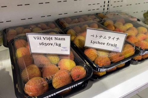 Loại quả ở Việt Nam chỉ 20 nghìn, đi máy bay sang Nhật nửa triệu/1kg