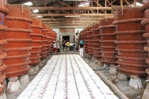 Nghề làm nước mắm Phú Quốc được công nhận là 'di sản văn hóa phi vật thể quốc gia'