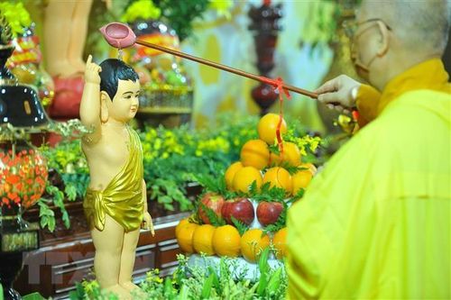 Tuần lễ 'Tắm Phật online': Ủng hộ 200 triệu đồng để phòng, chống dịch