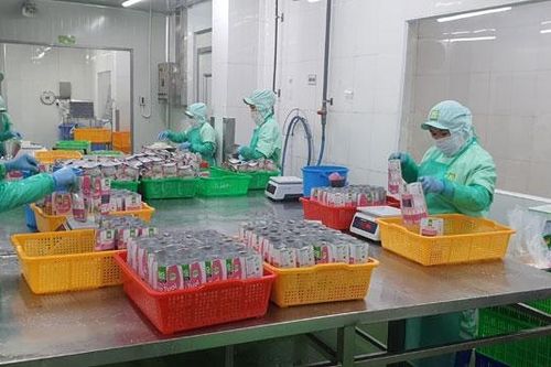 Xuất khẩu sang EU: Cần nắm bắt xu hướng tiêu dùng mới