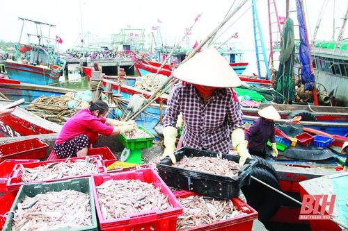 Khai thác hiệu quả tiềm năng, phát triển bền vững ngành thủy sản