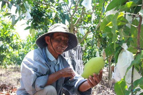 Vận đã đủ Khéo để Dân nghe