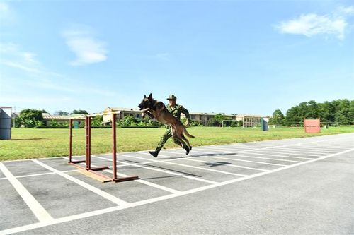 Nỗ lực, quyết tâm đạt thành tích cao tại Army Games 2021