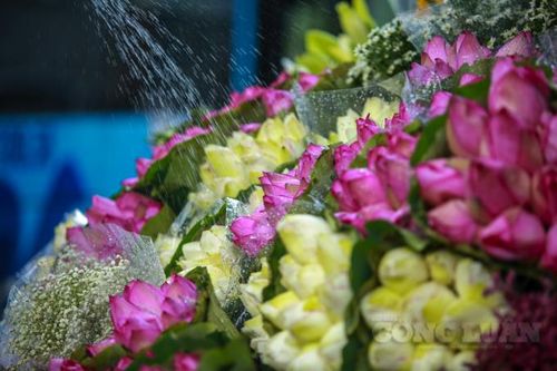 Hà Nội: Mùa hạ về, sen đầu mùa rong ruổi khắp phố phường