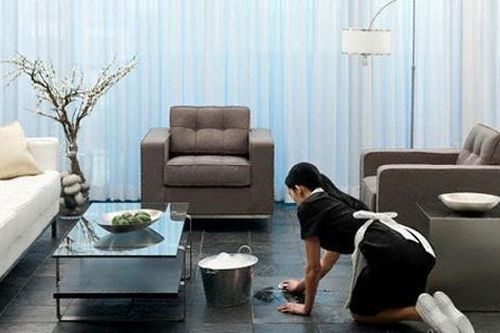 Cử nhân đại học danh giá đi làm osin gây tranh cãi
