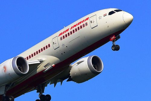 Dơi bay loạn trong khoang máy bay, buộc cơ trưởng quay đầu, hạ cánh khẩn cấp