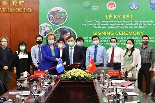 Hơn 30 triệu USD hỗ trợ nông hộ nghèo thích ứng với biển đổi khí hậu