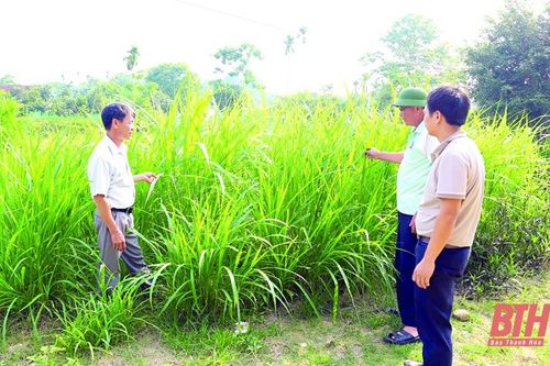 Khi trưởng thôn chưa phải là đảng viên: Khó khăn, hạn chế trong công tác điều hành