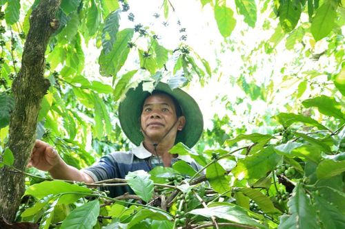 Vận đã đủ Khéo để Dân nghe