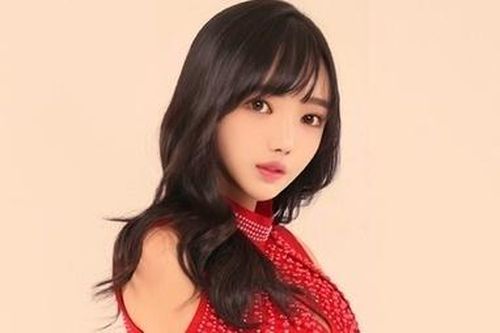 Nữ diễn viên Hàn Quốc bị cáo buộc thuê xã hội đen đánh người