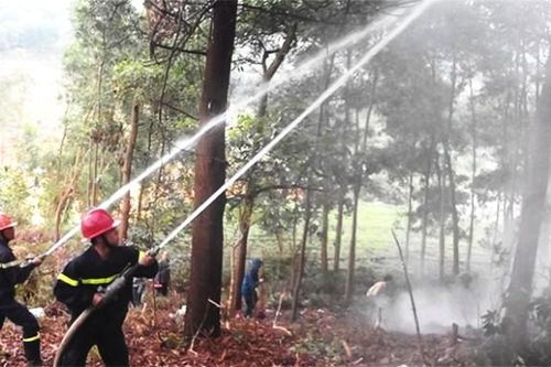 Cảnh báo nguy cơ cháy rừng do nắng nóng tại Hà Nội