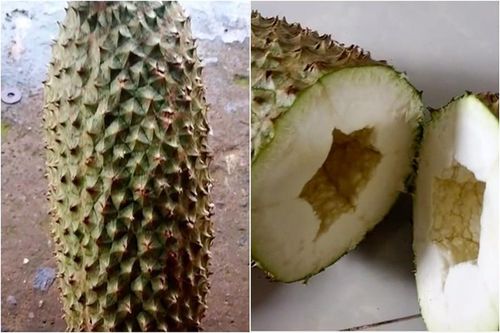 Mua được trái sầu riêng, thanh niên bỏ ra mà 'tức cái lồng ngực'