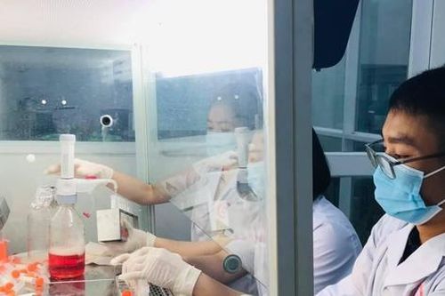 300 cử tri chung điểm bầu cử với ca mắc COVID-19, Bình Dương khoanh vùng diện rộng