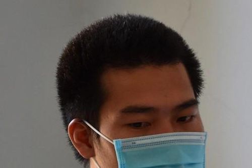 Quảng Nam: Bị lừa hàng trăm triệu đồng góp vốn mua lan đột biến