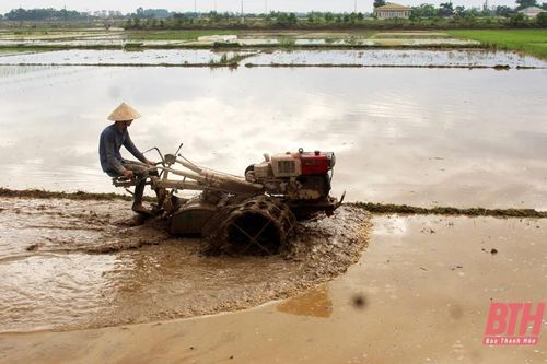 Điểm nhấn trong kế hoạch sản xuất vụ thu mùa