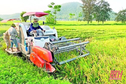 Ghi nhận kết quả trong sản xuất vụ đông xuân