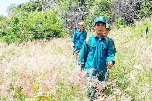 Ban Quản lý rừng phòng hộ Nam Khánh Hòa tăng cường bảo vệ rừng
