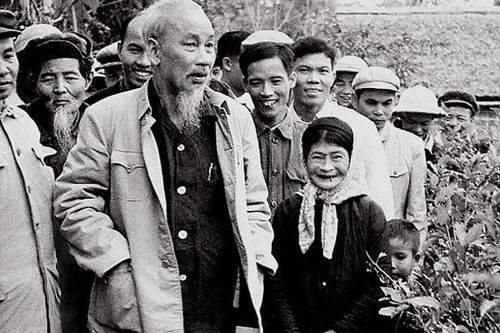 Khu di tích Kim Liên chú trọng công tác nhân giống hàng hoa râm bụt gắn liền với tuổi thơ của Người