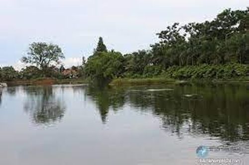 Chuyện đánh bắt thủy sản ở Đầm Vạc