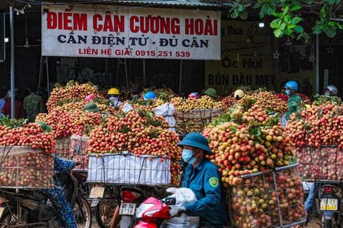 Đẩy mạnh các giải pháp tiêu thụ nông sản trong bối cảnh dịch Covid-19