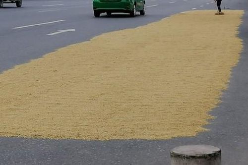 Ẩn họa từ chiếm dụng lòng đường biến thành sân phơi lúa