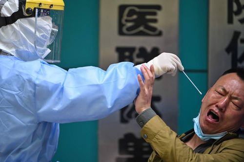 Đại dịch do virus corona gây ra sẽ không chấm dứt