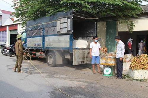 Hưng Yên xúc tiến, quảng bá sản phẩm vải quả